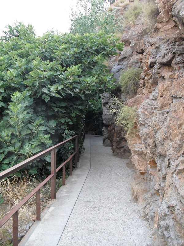 Camino Camino
