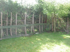 My New Fence