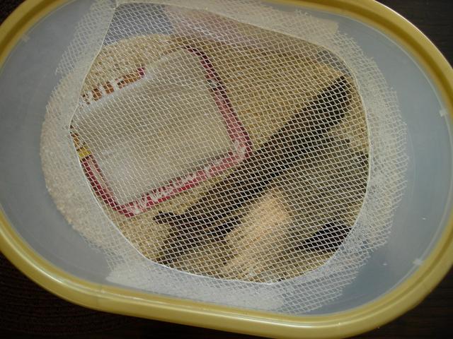 I made a mesh lid out of net curtain to provide better ventilation.