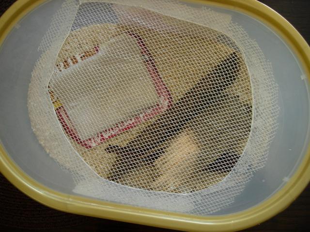 Mesh Lid I made a mesh lid out of net curtain to provide better ventilation.