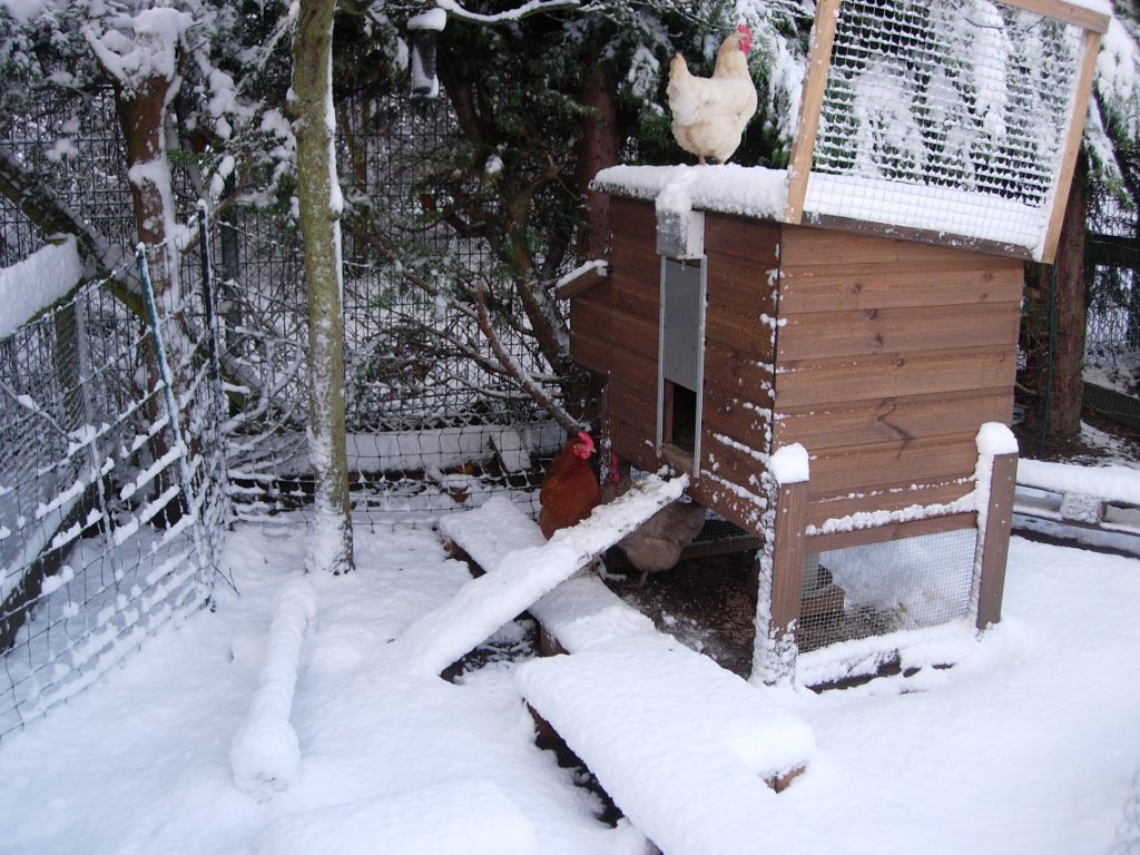 The girls spent most of the time avoiding the snow (you wouldnt want to stand on snow if you had bare feet!)