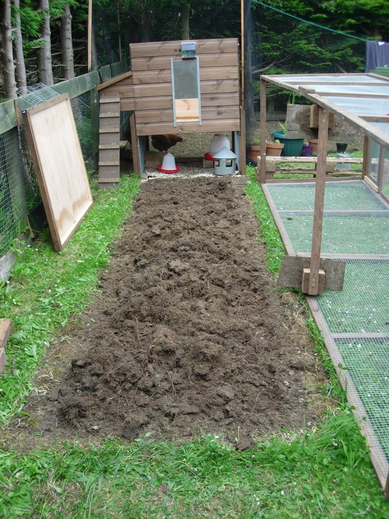 Mud! I turned over all of the soil in the run
